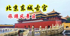 男插女下边免费av中国北京-东城古宫旅游风景区